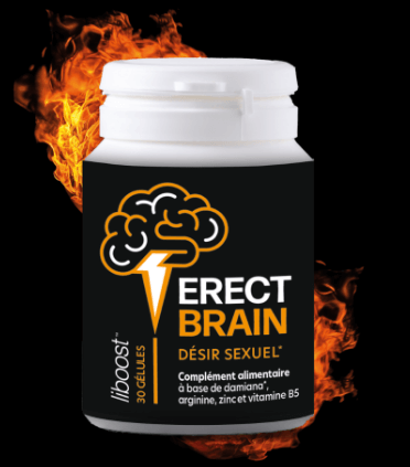 Erect Brain Fire