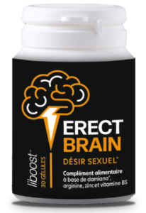 Erect Brain Désir