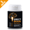 Erect Brain - Offre d'Essai