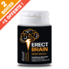 Erect Brain - Offre Bonne Affaire
