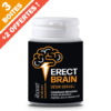 Erect Brain - Offre à ne pas Rater