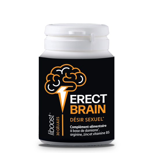 Erect Brain