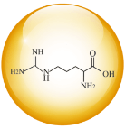 L-ARGININE